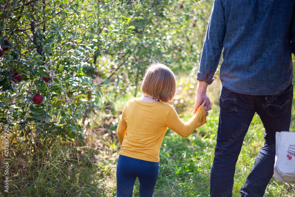 Obraz premium Father and child apple picking