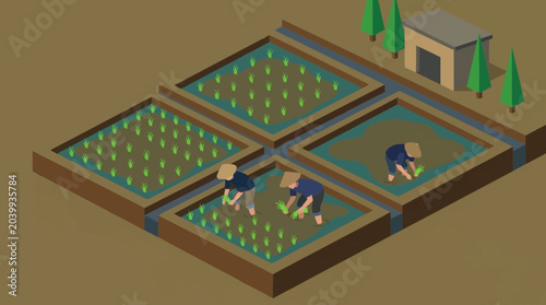 people working in a garden with plots.