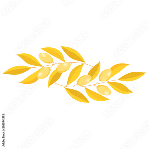 Two golden olive branches with ripe olives on a white background. Greek symbol of longevity and prosperity. Vector illustration for print, decoration, logo.