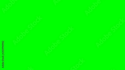 Modern white and black lower third graphic bar sliding into position on green screen for professional broadcast news overlay