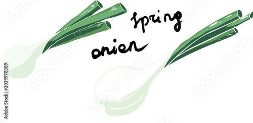 Quadro su tela Minimalist spring onion color drawing