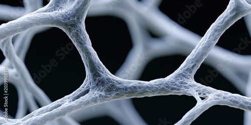 An intricate view of cellular structures reveals complex networks resembling biological frameworks, invoking thoughts on nature, science, and interconnected systems.