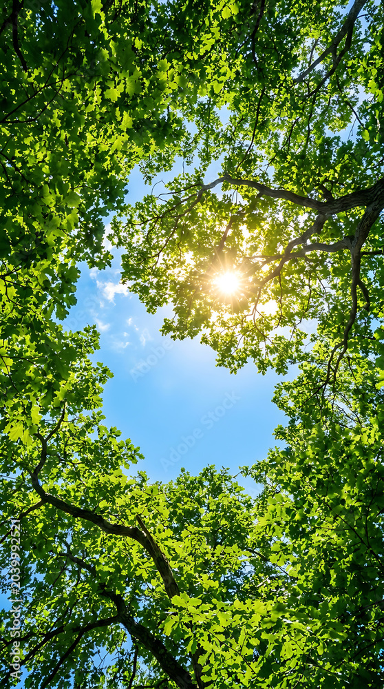 Fototapeta premium Sun shining through green tree leaves illustration