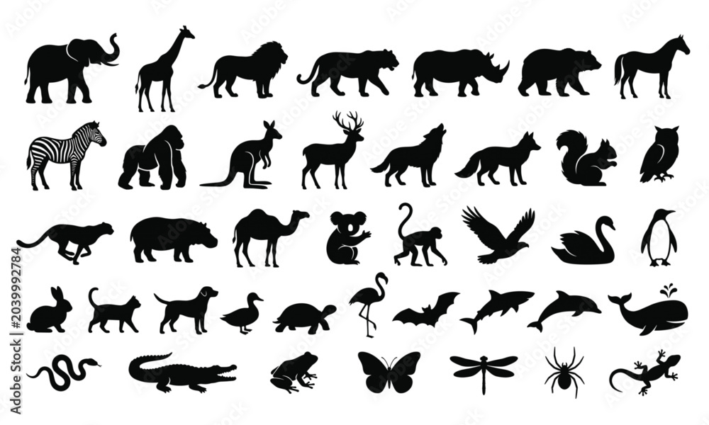 Fototapeta premium Decorative African wildlife silhouette vector illustration with birds and animals