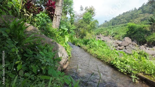 A tranquil stream surrounded by lush greenery flowing through rocky terrain under a bright sky