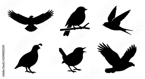 Canvas Print Diverse Bird Silhouettes Collection, Vector Icons for Nature and Wildlife Graphi