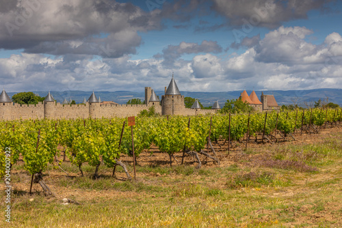 Saison du printemps pour les vignes de la ville de Carcassonne