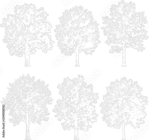 Architectural Tree Elevation Set Vector Collection for Landscape Design