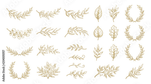 Fotografi A collection of golden laurel leaves and wreaths on a white background , jpg, ve