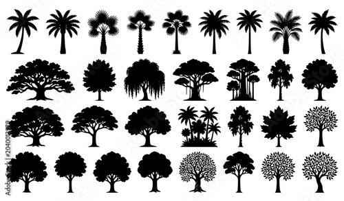 Schilderij op canvas Broadleaf and palm tree silhouette vector collection with tropical foliage and b
