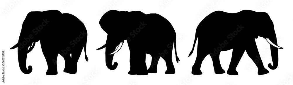 Fototapeta premium Elephant set with solid black silhouette against white background featuring wildlife conservation, endangerment, preservation with iconography and environmental symbols