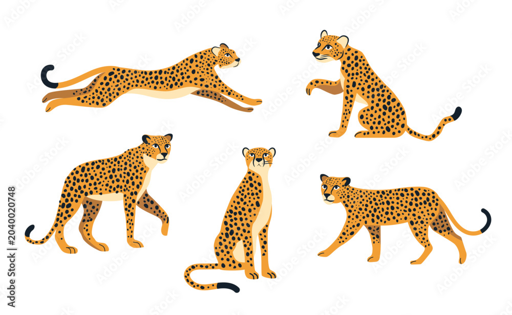 Obraz premium Cheetah Wildlife Illustration Set in Different Poses