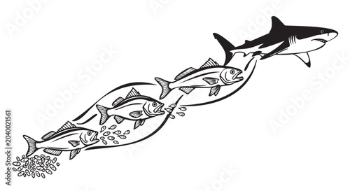 Photography Fish, shark, school of fish, ocean creatures, black and white vector illustratio