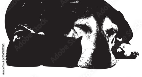 Foto Black and white dog face, sleeping dog, canine portrait, vector illustration