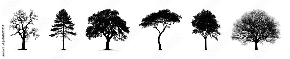 Fototapeta premium PNG Silhouettes of diverse trees on transparent background