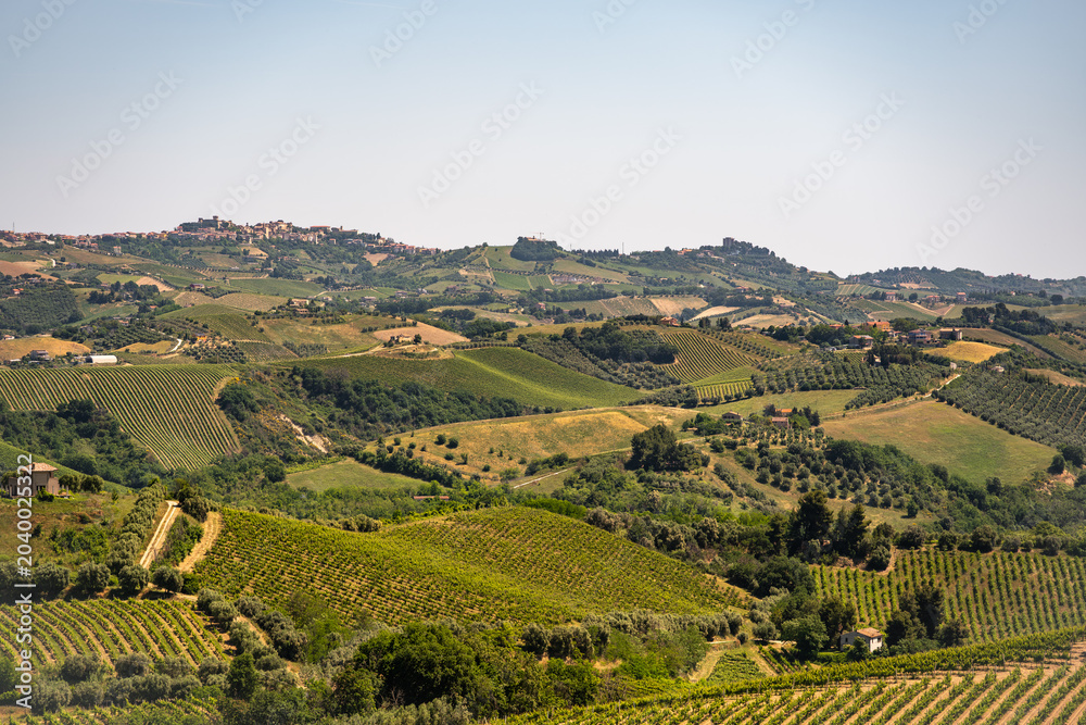 Fototapeta premium Marche, Italy. Spectacular spring landscape of the Marche hills.