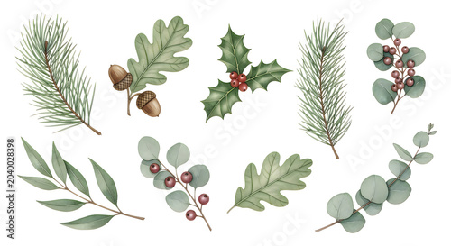 Watercolor christmas foliage elements