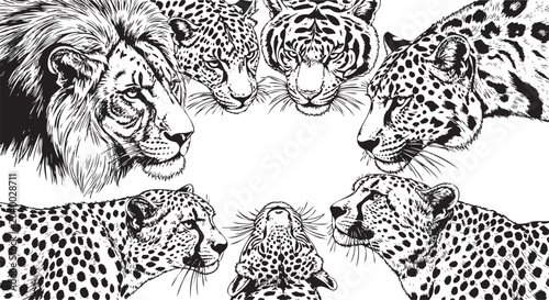 Canvas Print Wildlife icons, big cat heads, leopard and lion illustrations, black and white v