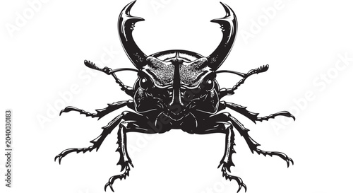 Obraz na plátně Black beetle, insect illustration, bug vector, wildlife graphic