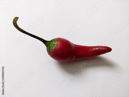 A red chili pepper isolated on white background
