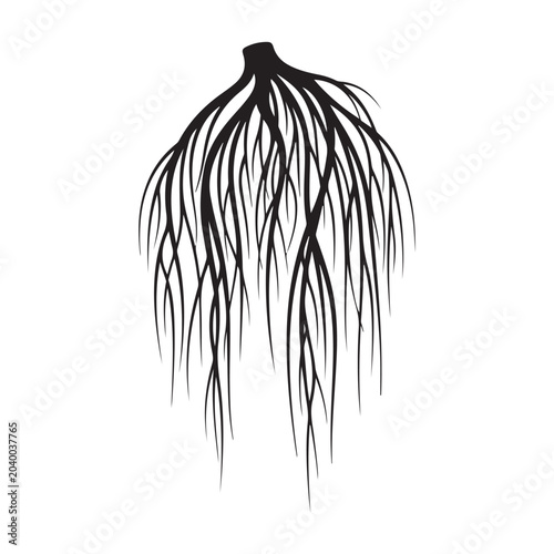 Black root system silhouette vector with branching fibrous roots for botanical and organic design