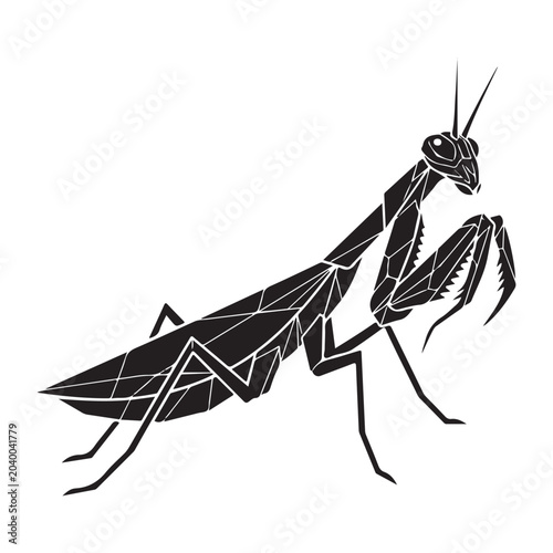 Tableau sur toile Praying mantis vector illustration with black geometric silhouette and stylized