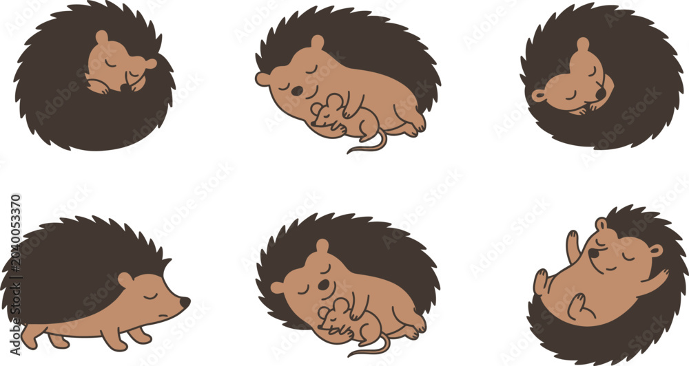 Obraz premium Cute hedgehog sleeping in cozy position