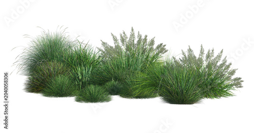 Konstfotografi Cut out green grass field transparent backgrounds png file