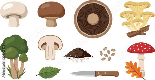 Foto Edible and Wild Mushroom Vector Element Set with Button Portobello Shiitake Oyst
