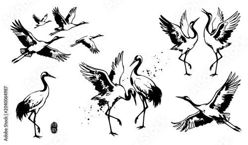 Photos Hand-Drawn Crane Birds Set - Traditional Chinese Ink Wash Vector Illustration