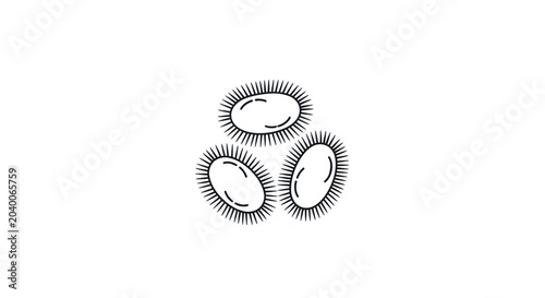 Photos Sea Urchin Outline Vector Illustration