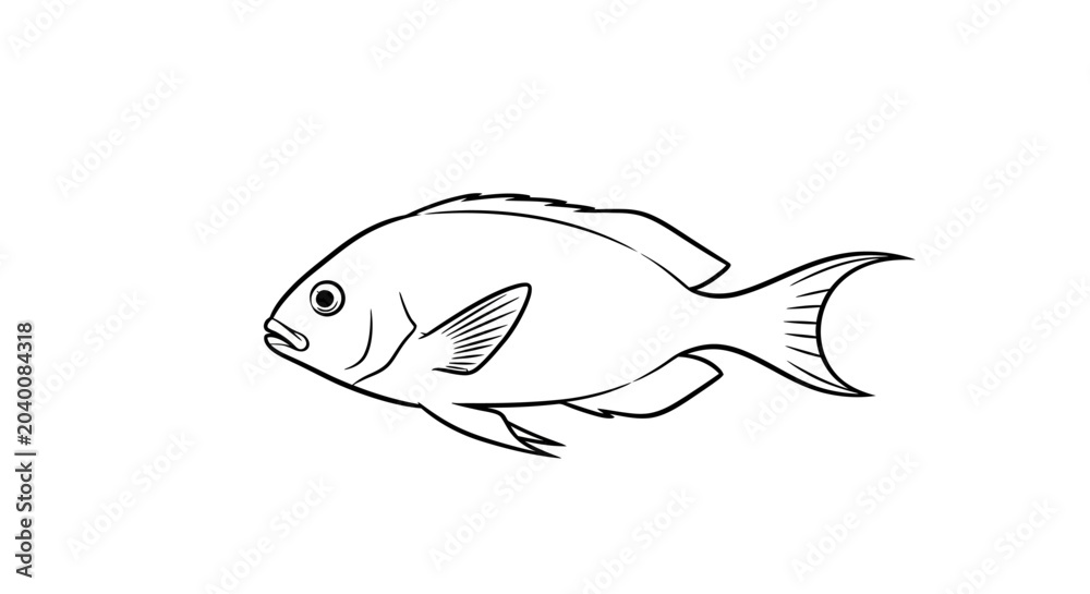 Fototapeta premium A simple line art sketch depicts a coral reef fish on a white background.
