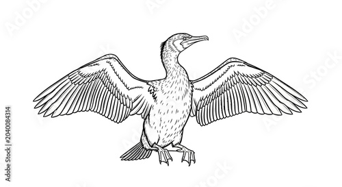 Tableau sur toile A black and white line art sketch depicts a cormorant with wings open on a white background