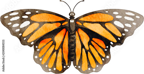 Photos Watercolor illustration of a monarch butterfly isolated