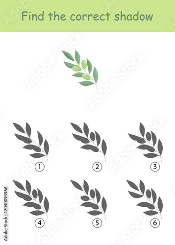 Find the correct shadow of olive branch. Maze game. Vector illustration on a white background for children's entertainment, activity book, worksheet.