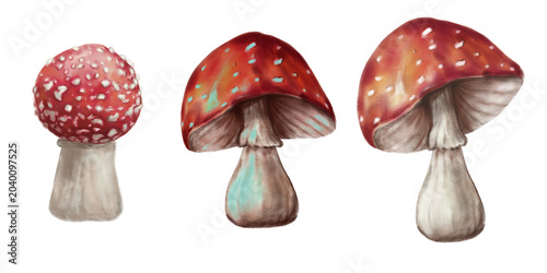 Hand drawn woodland collection featuring fly agaric mushrooms, fern leaves, acorns, tree branches. Perfect for children's books, nursery decor, stickers, scrapbooking, seasonal designs and nature-them