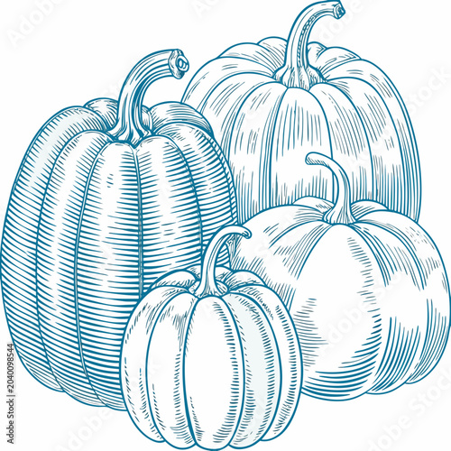 Foto Pumpkins Engraving A Detailed Artistic Sketch With Blue Lines
