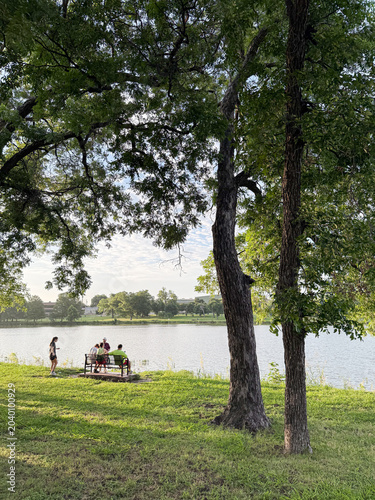 Tableau sur toile Shaded bench gathering frames several visitors seated beneath tall trees as calm water reflects soft morning light across Bachman Lake