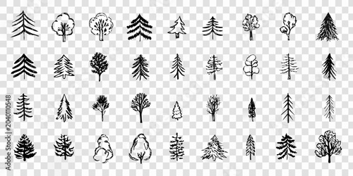 Tableau sur toile Collection Of Hand Drawn Tree Icons On Transparent Background