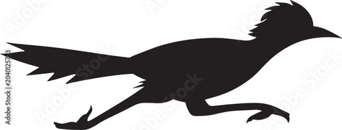 Konstfotografi Roadrunner Silhouette Illustration
