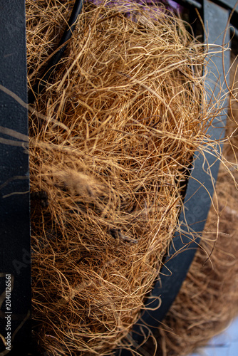 Close Up Decorative Coconut Fiber In Garden Planter