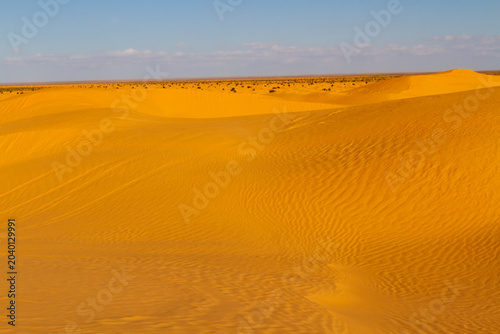 Bilde på lerret The Sahara Desert