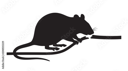 Bild auf Leinwand Rat Climbing Rope Silhouette A Dark Graphic Representation