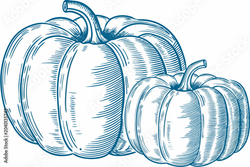 Foto Pumpkins Engraving Illustration Blue Line Art On White Background