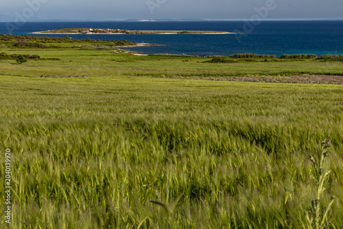 Levan Island Coastal Panorama with Mediterranean Landscape and Clear Adriatic Water