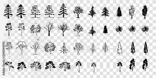 Photos Collection Of Sketchy Tree Icons On Transparent Background