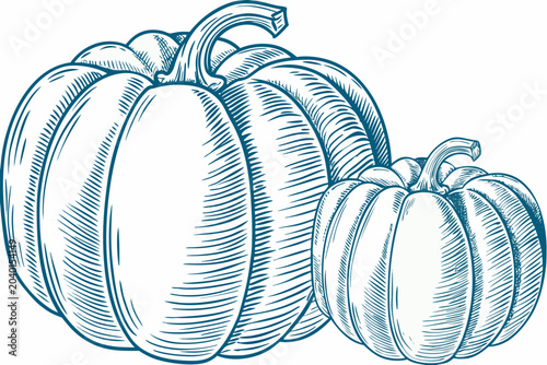 Fotografie Pumpkins Engraving A Detailed Blue Line Art Illustration