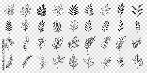 Konstfotografi Hand Drawn Botanical Leaves A Black And White Vector Illustration Set