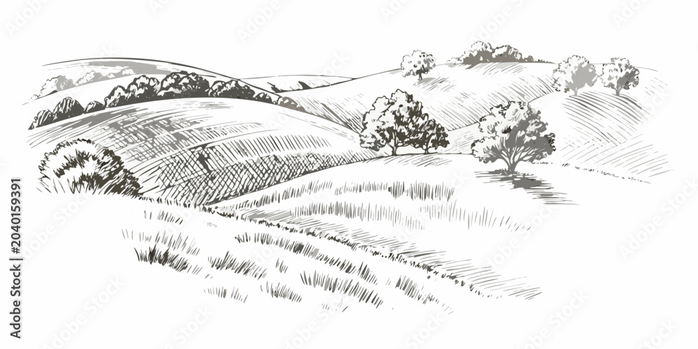 Obraz premium Rolling hills landscape pen and ink sketch with detailed foliage