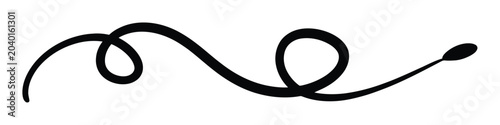 Black swirl flourish with a droplet end
